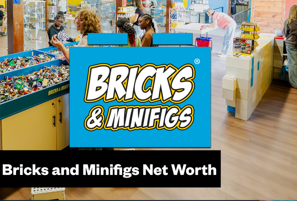 Bricks and Minifigs Net Worth