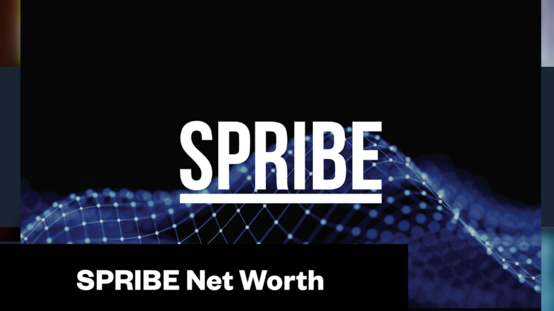 SPRIBE Net Worth