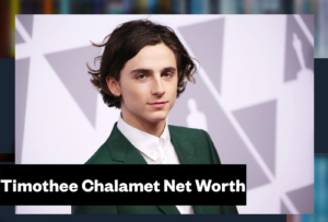 Timothee Chalamet Net Worth & Biography