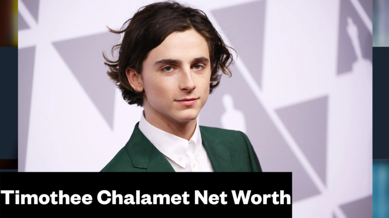 Timothee Chalamet Net Worth & Biography